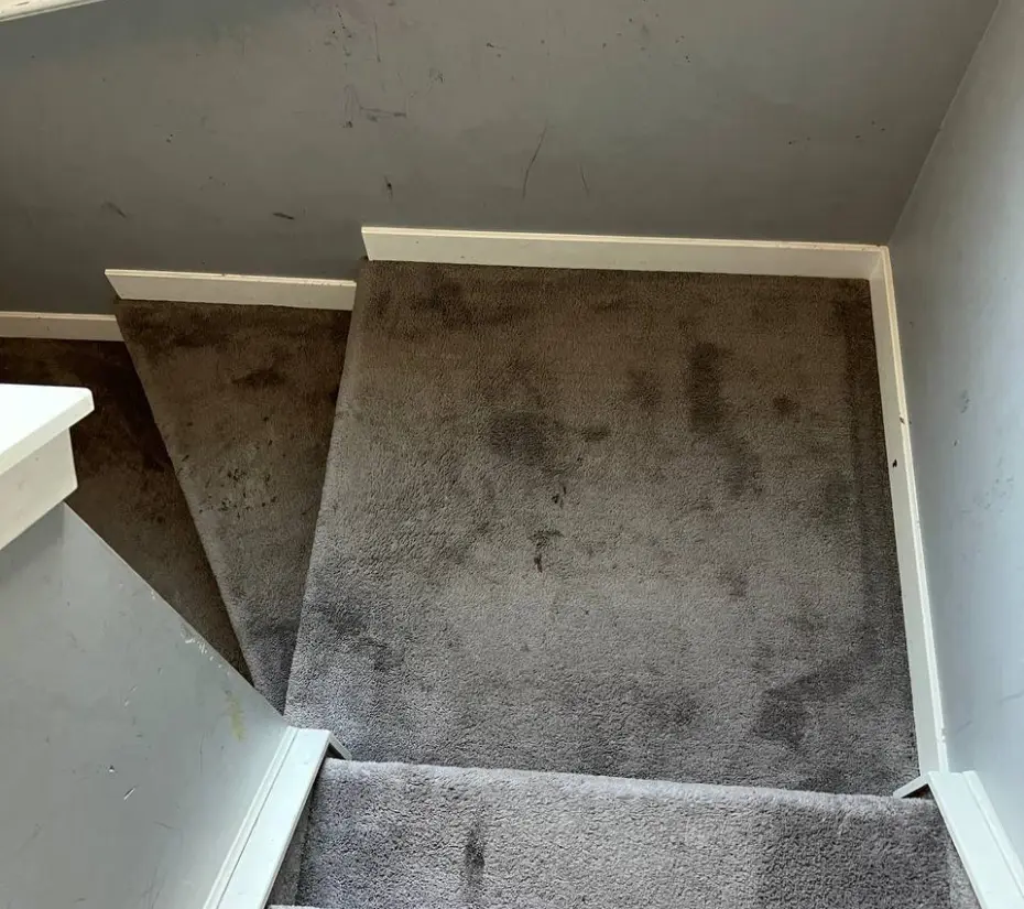 Carpet cleaning — before