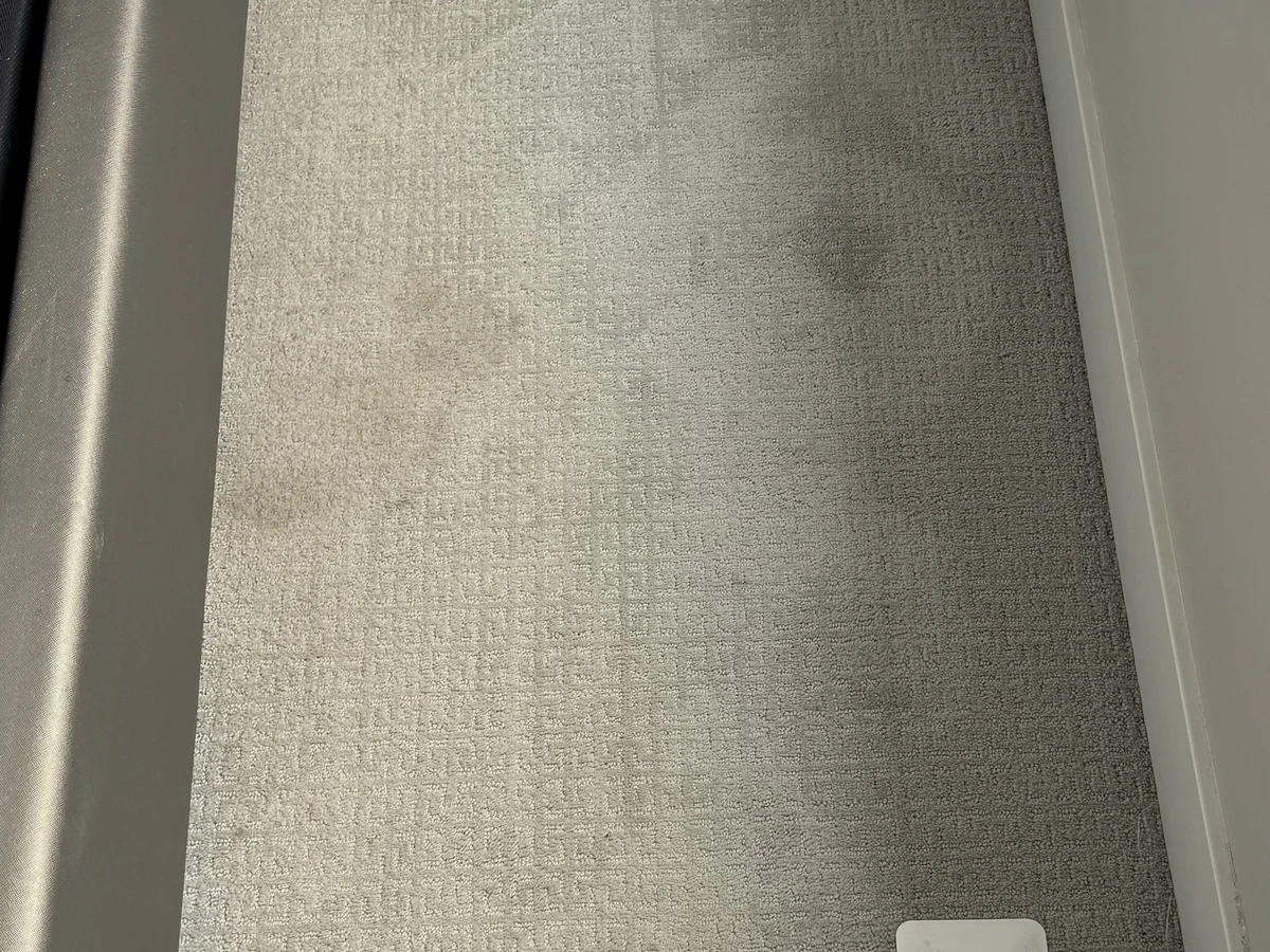 Bedroom carpet — before