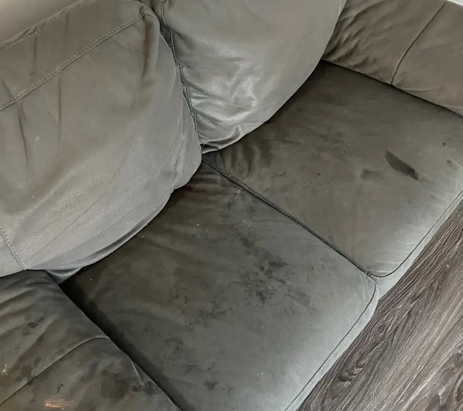 Sofa cleaning — before