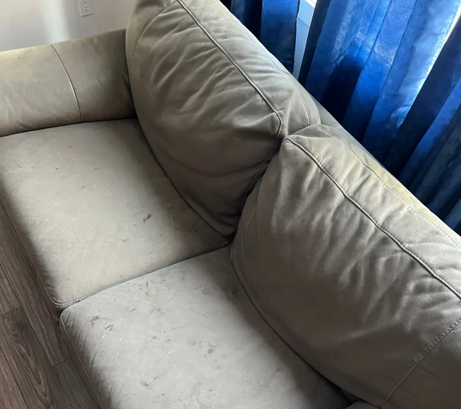 Sofa cleaning — before